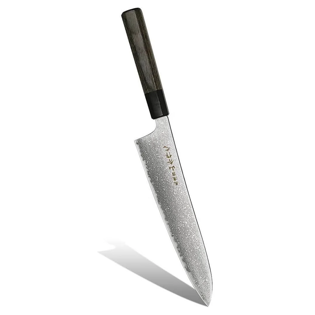 Artistic Gyuto  8 inch SG2/ Stainless Steel kitchen knife made by Real Japanese craftman