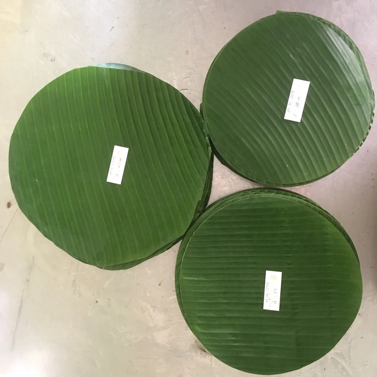 Frozen Fresh Banana Leaf/Use as Natural medicine/