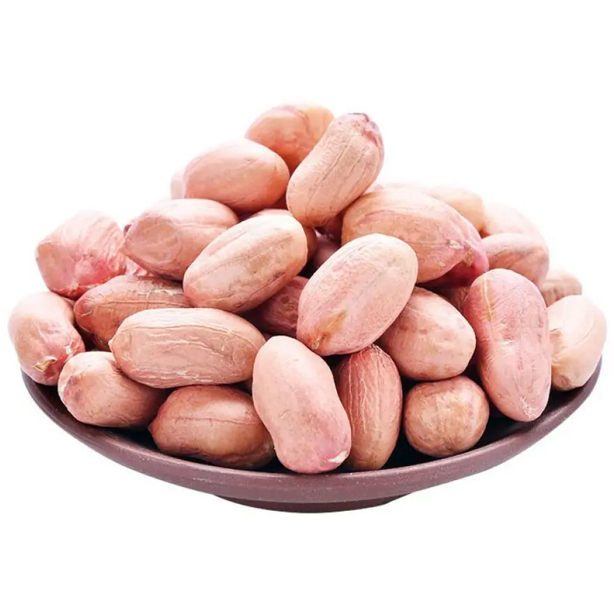 FACTORY PRICE PEANUT NUT FOR EXPORT