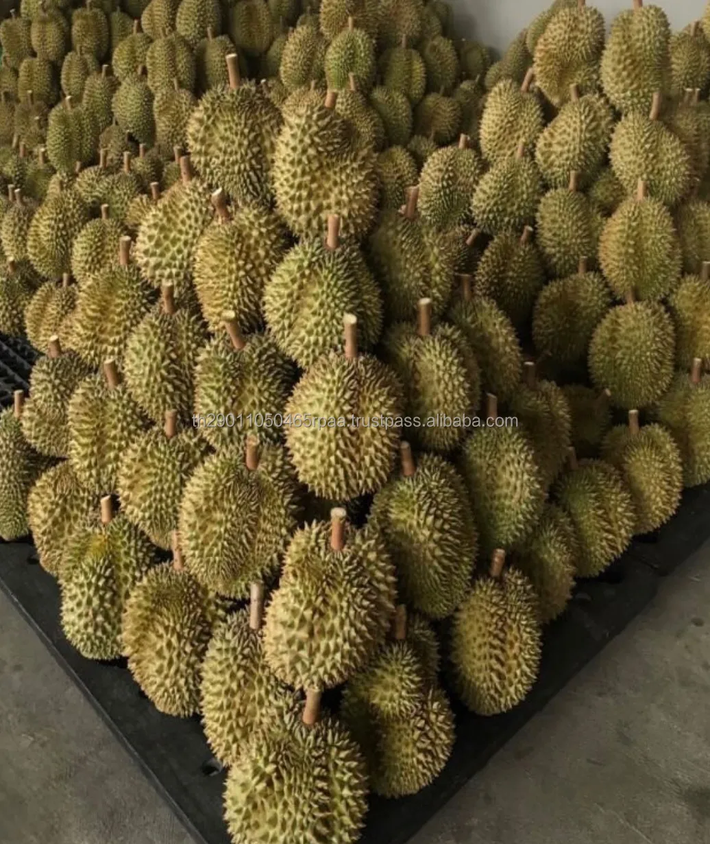 Свежие свежие фрукты дуриан хорошего качества из