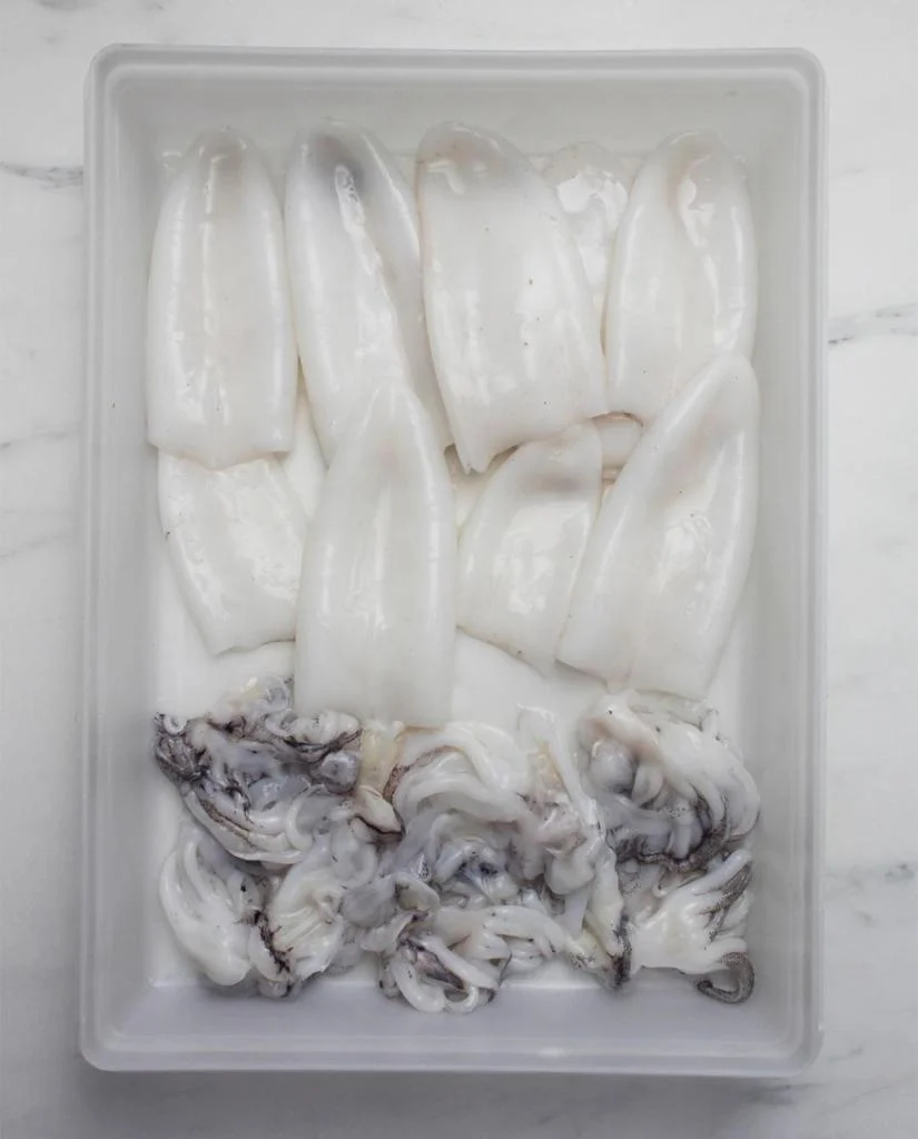 SQUID TUBE AND TENTACLES FROZEN