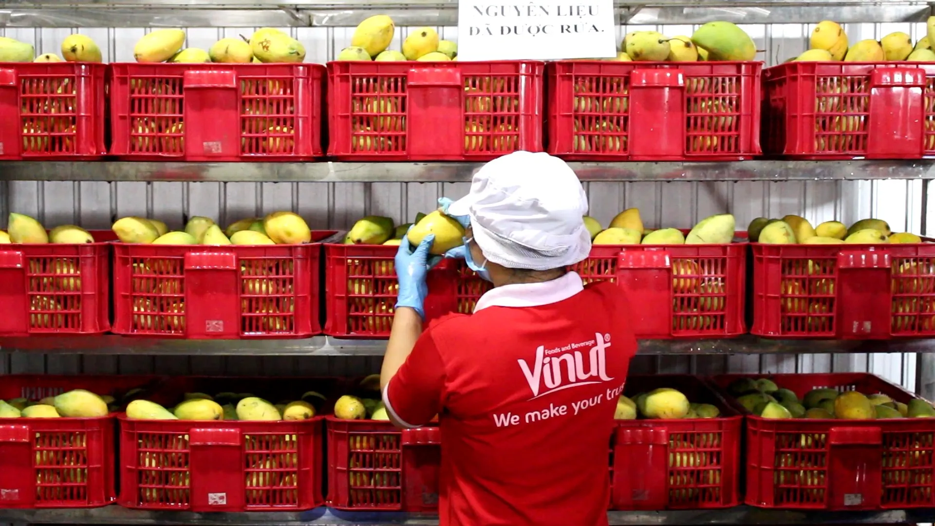 12 жидких унций винут кокосовое молоко Тропический Микс без глютена лактозы не производственные экспортеры