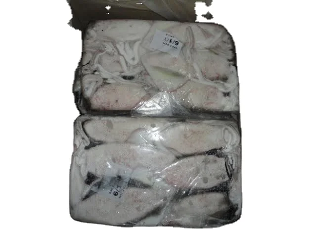 Замороженный кальмар lолиго оптовая продажа высокое качество с высоким минимальным заказом экспорт индийских морепродуктов