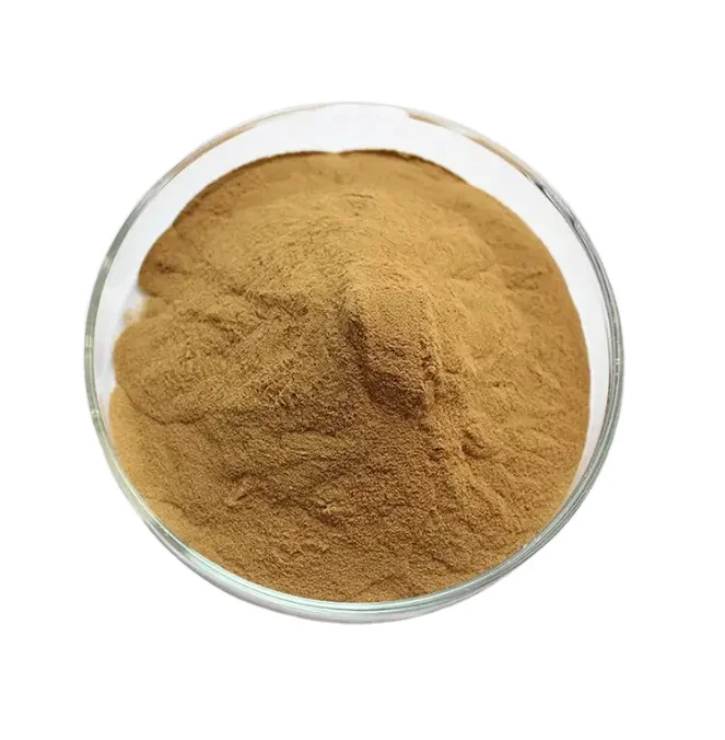 Manufacturer Bulk Natural Cordycepin Pure Cordyceps Sinensis Extract Powder for Export
