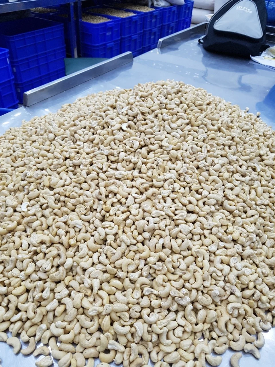 CASHEW NUT  GRADE WW 450, VIETNAM ORIGIN, HIGH QUALITY, BEST PRICE, CROP 2022-2023, USED FOR FOOD