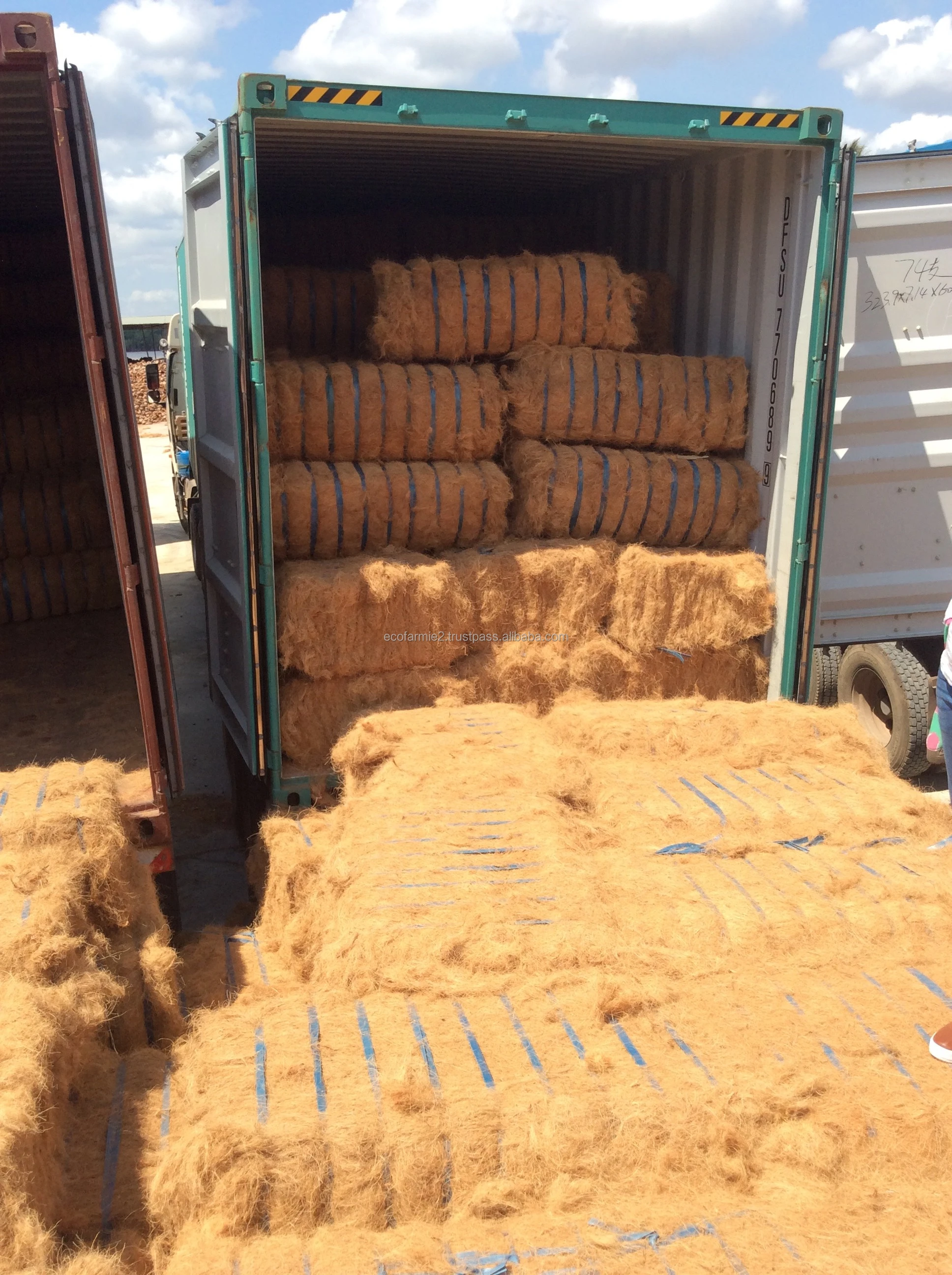 Premium quality bulk quantity coco coir coconut fiber husk bales cheapest prices origin in Vietnam