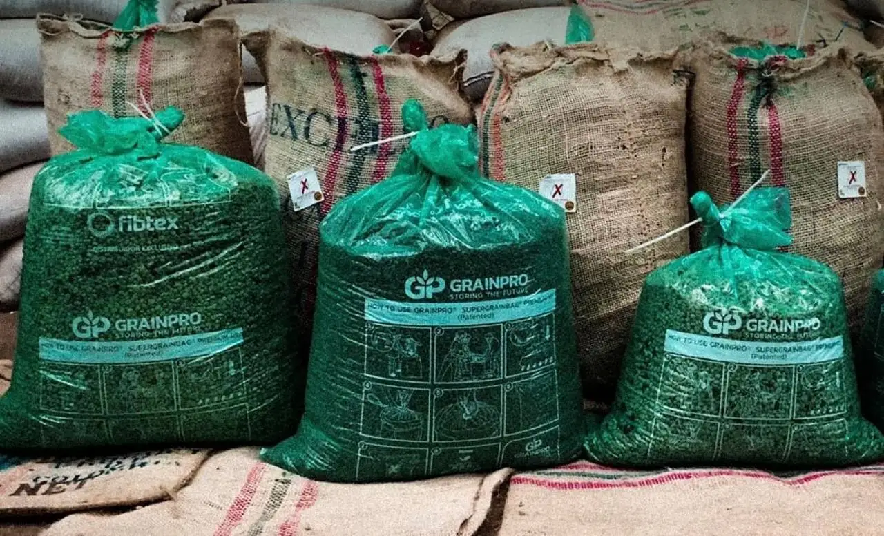 Лидер продаж вьетнамские робуста Арабика зеленые кофейные бобы целые жареные конкурентоспособная цена готовый импортный мешок