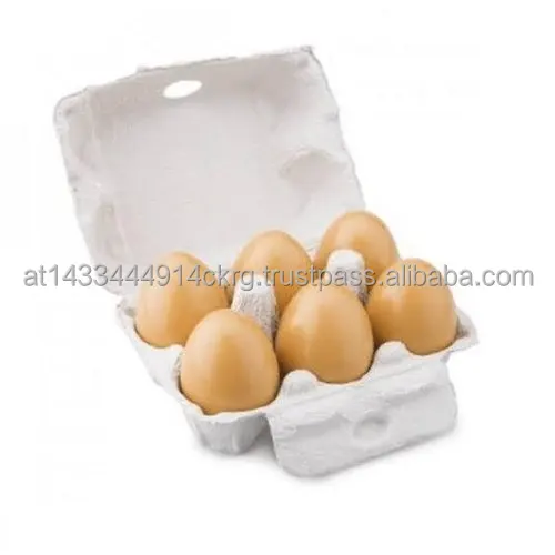 6-eggs-paper-box-500x500.jpg