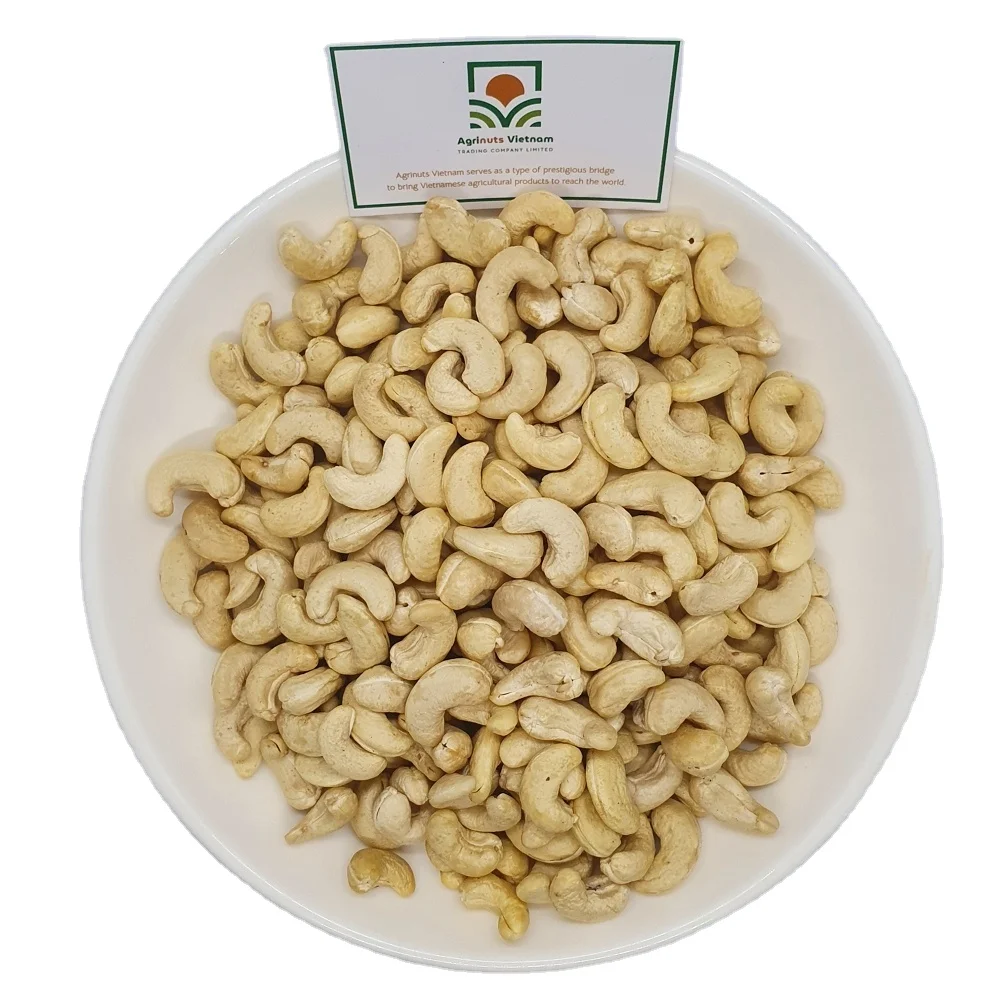 Cashew Nuts WW320 Special Product With Origin Vietnam Best Price For Sale High Quality Prestigious Manufacture