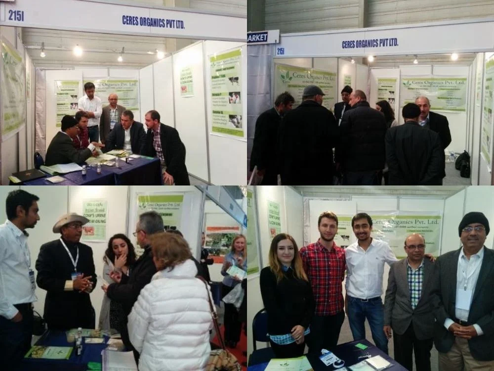 Calcium boron CaliBor Amino Acid Base Calcium White To Off White used in industries 100% organic Indian Wholesaler best quality