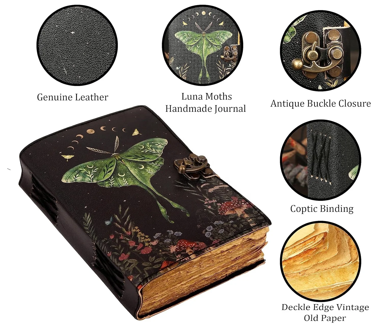 Butterfly Print 2.jpg