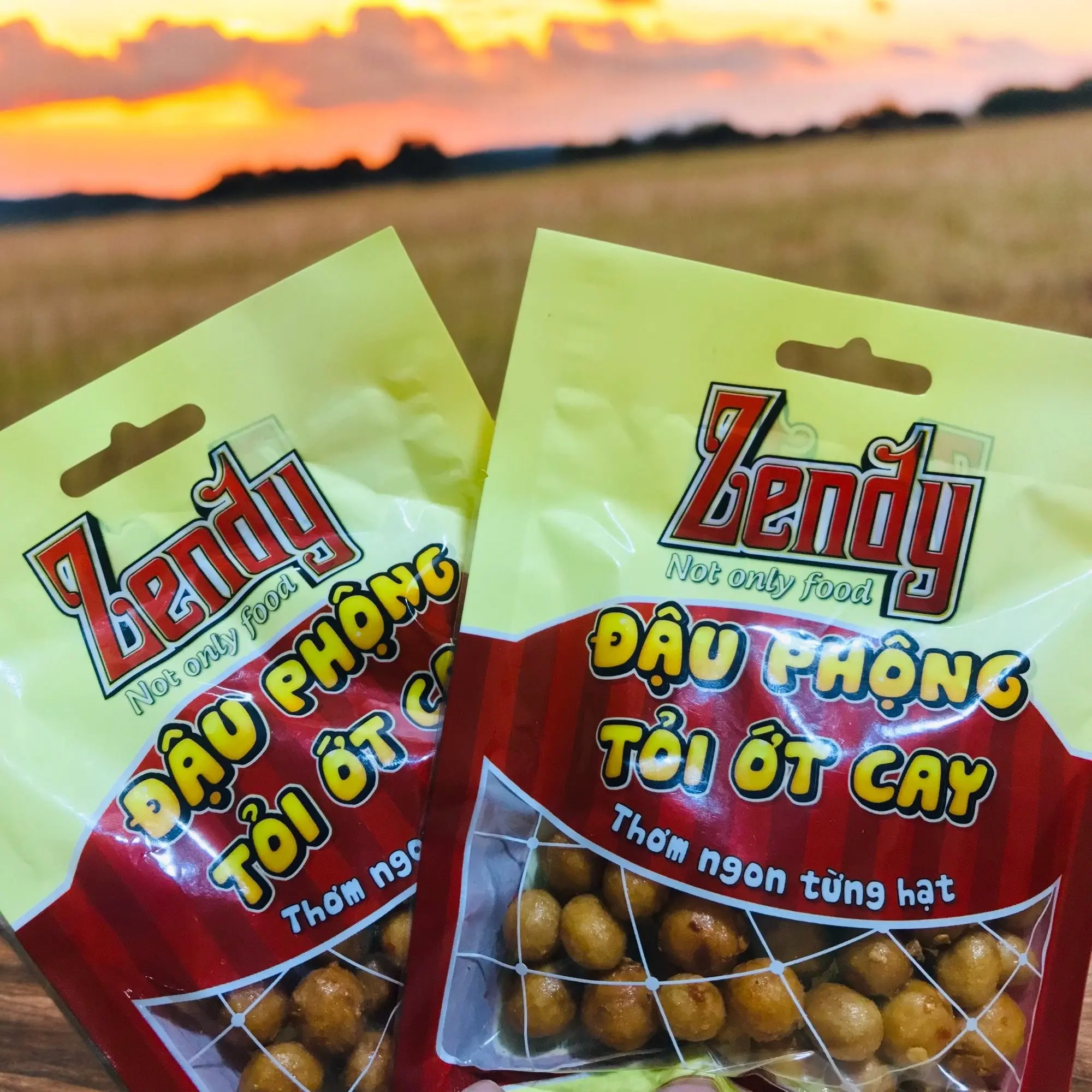 Organic Blanched Peanuts in Bulk Spicy Taste Natural Nut Snacks for Food Use Wholesale from Vietnam Packaged in Bags