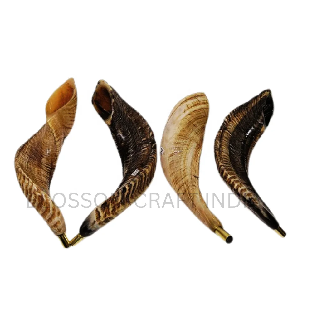 Authentic Horn Shofar / Kudu / Ram Horn / Polished Shofar Agate with Brass Whistle Easy to Blow at Religious Festival or Event