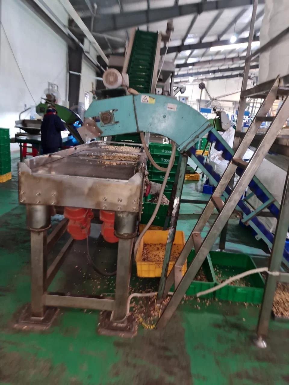 TOP QUALITY CASHEW NUT PEELING MACHINE 5 TONS PER DAY