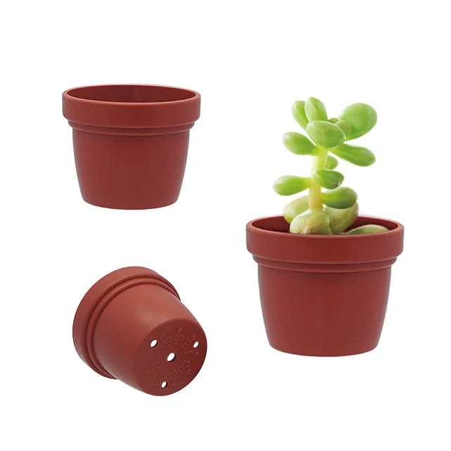 Min succulent pot and tray holder