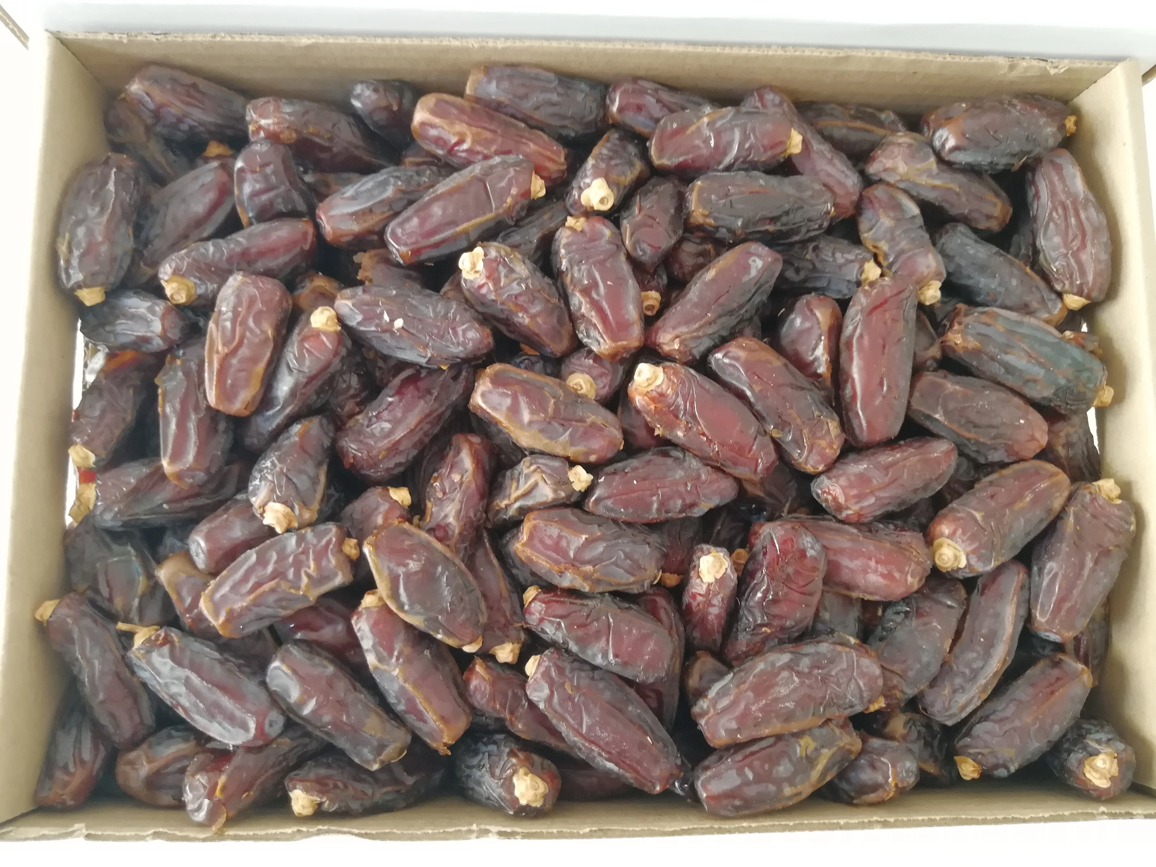 Mashrook даты | 100% Саудовская вкусные mashrooq выского качества по выгодной цены