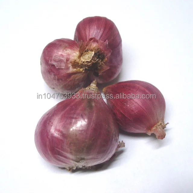  Маленькая луковая жареная еда со шальлотом на вкус.