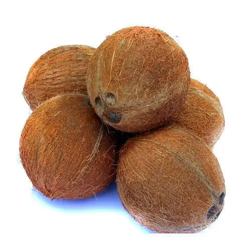 VIETNAM HIGH QUALITY | Premium Grade 100% Organic SEMI HUSKED COCONUT exported by Tinimex (WhatsApp: +84 98 858 1390)