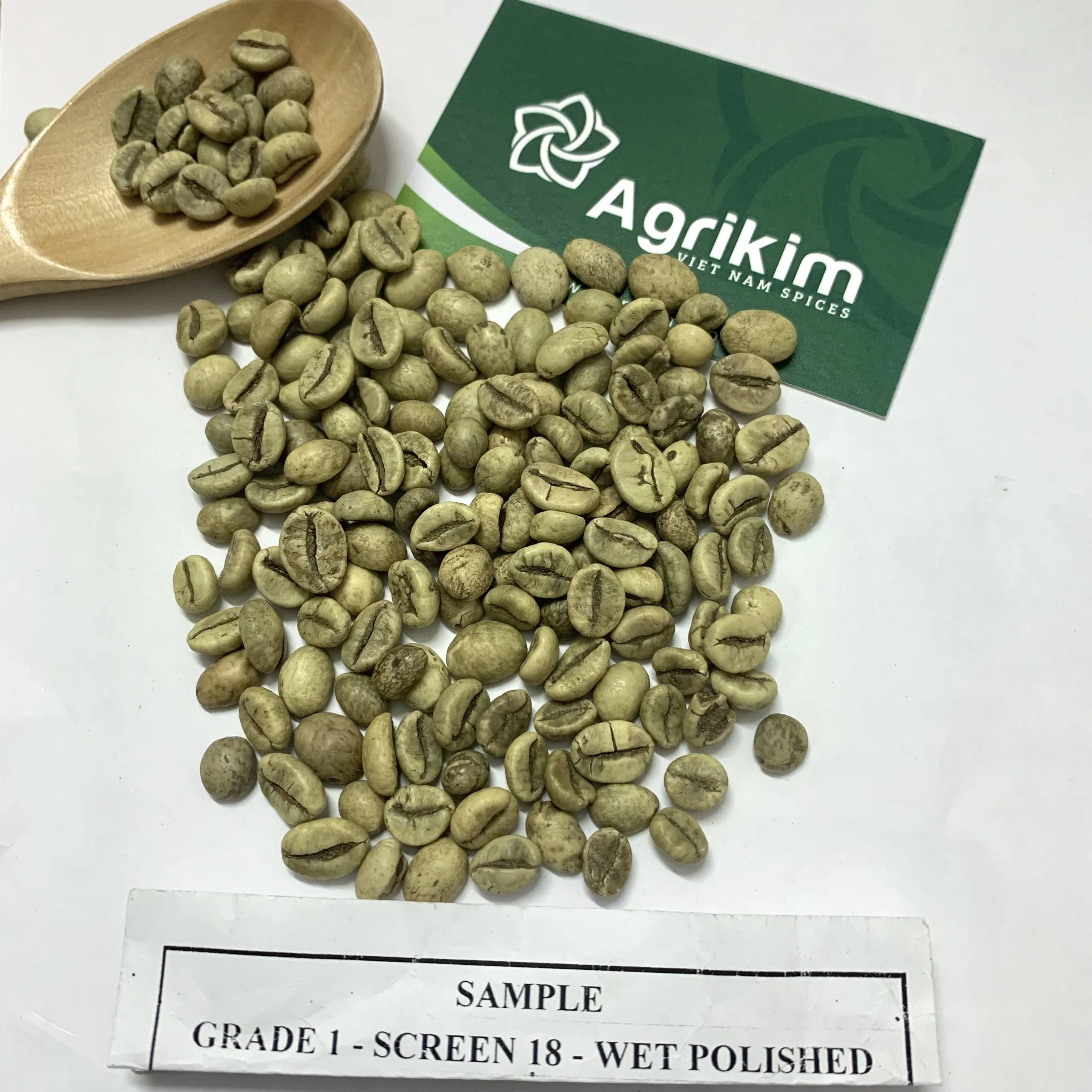 Free sample Vietnam green coffee beans Arabica and Robusta coffee bean fast shipping cheap price