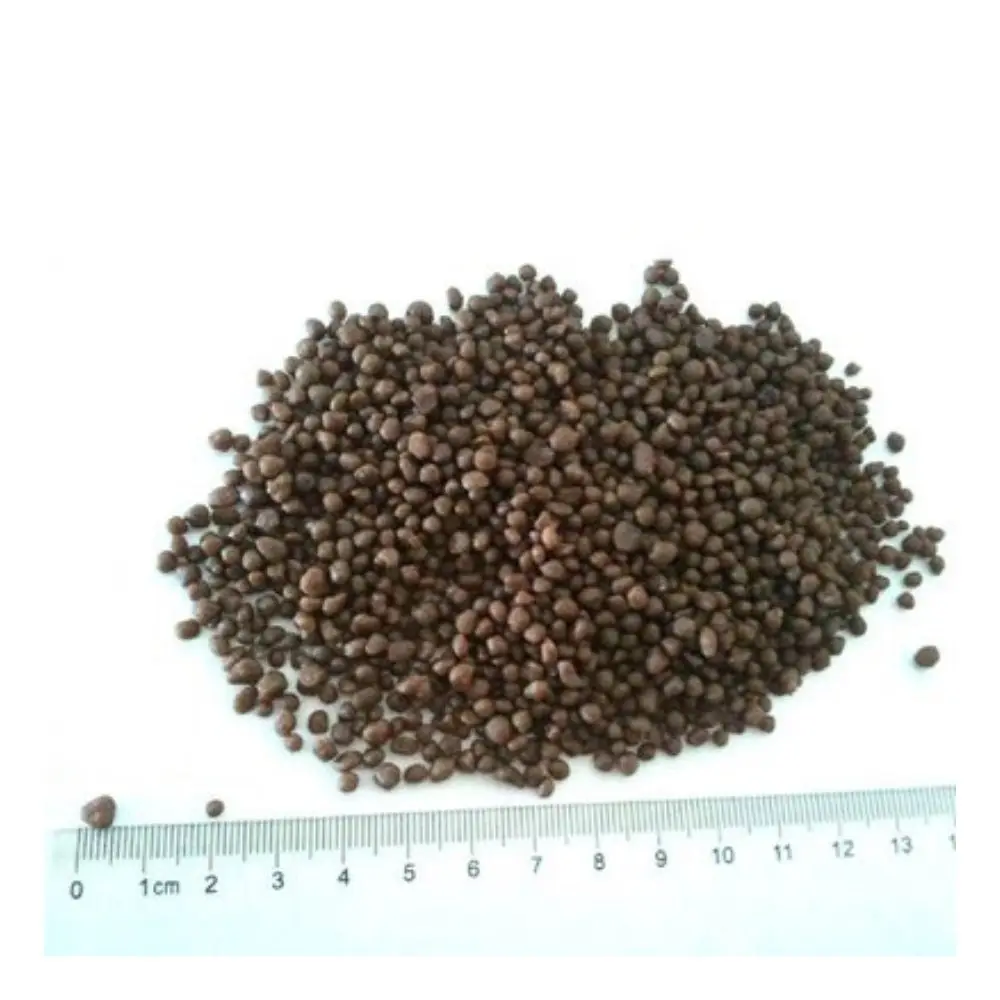 Bulk Supply dap fertilizer For enhancing root development in seedling Diammonium Phosphate 99% for Agriculture production