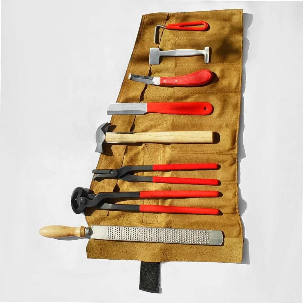 Farrier Tools | Farrier Tools Kit | Horse Farrier Tool Veterinary Stainless Steel Instruments Set Made By Bravo Impex
