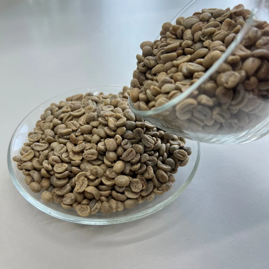 Special Deal Green Coffee Beans Fruity Green Bean Coffee Energy Booster Coffee Crop