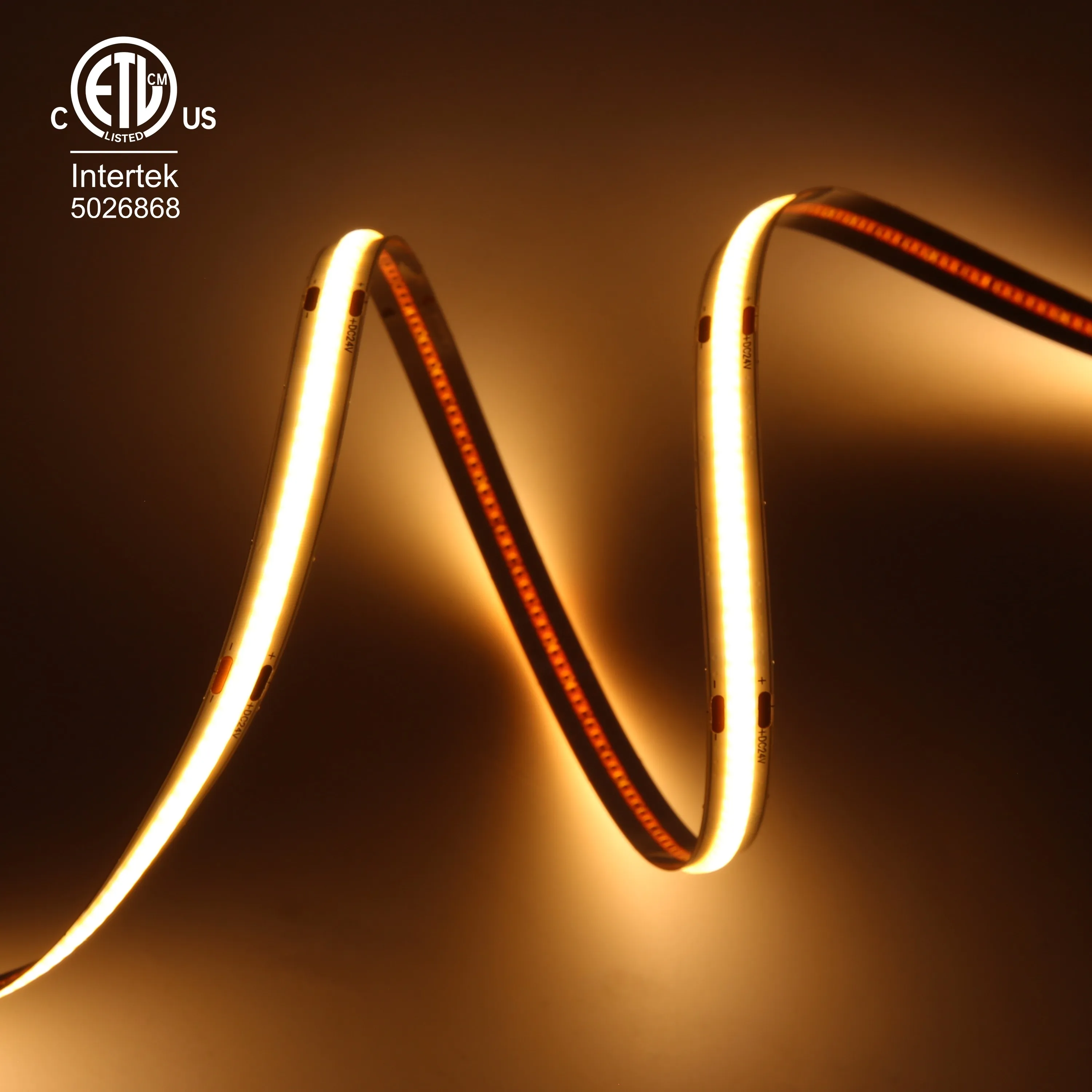 High CRI 90 COB LED Strip Light 480LED 2500K Warm White Flexible Tape CE ROHS Compliant 3 Years Warranty 24V COB LED Strips