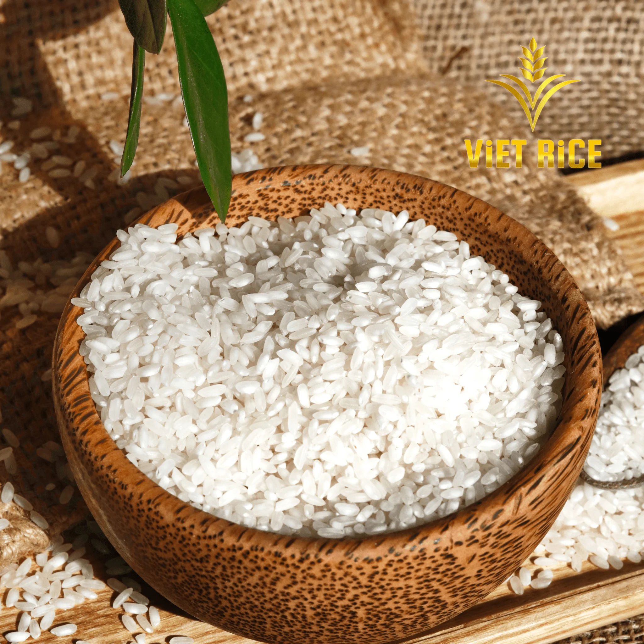 HOT HOT ! Camolino 5% Broken White Rice International Standard From VietNam with Strict Production Processes Best Rice On Market