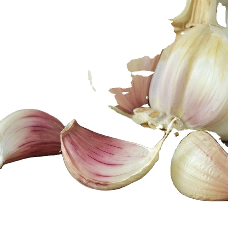 PRODUCRES OF INDIAN GARLIC FRUITS COMPANY