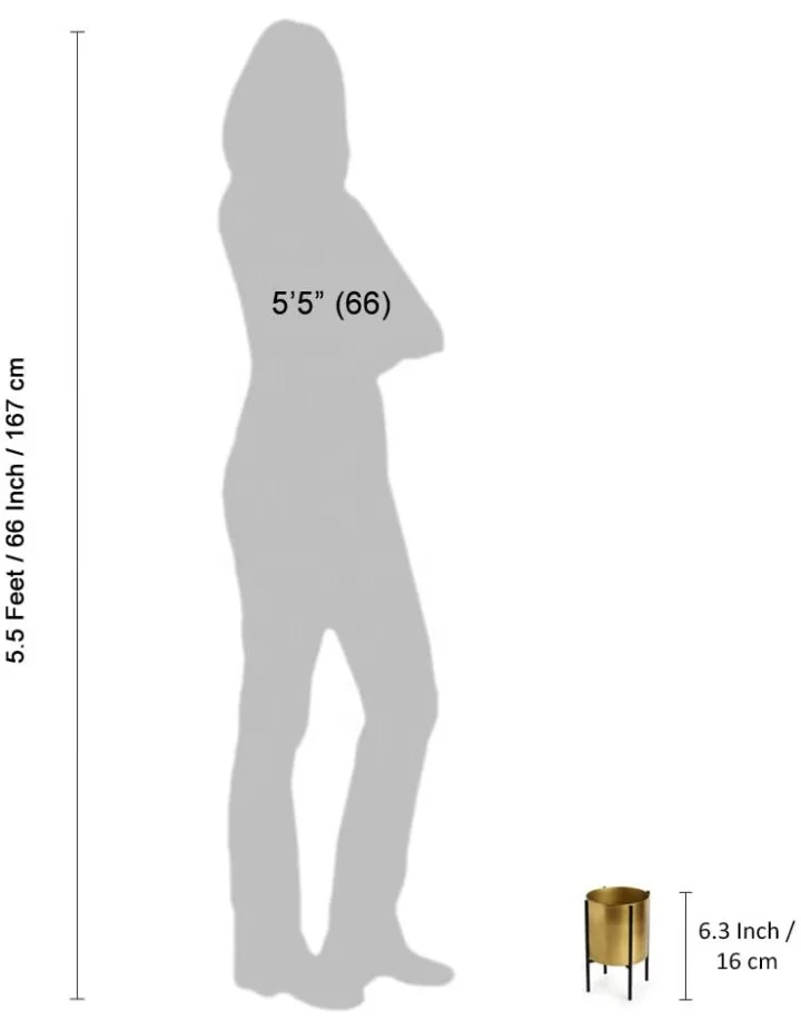 Горшок из оцинкованного железа золотого цвета с подставкой креативный прочный металлический барабан декоративные цветочные горшки и