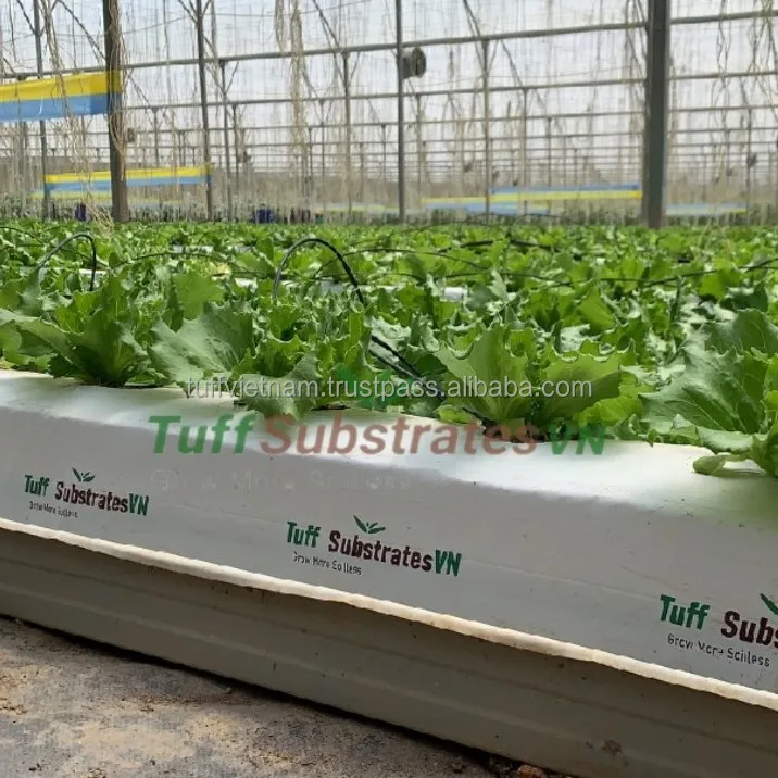 Best sales hight Quality Growbags 28L Coconut Fiber For Growing Strawberry Plants Agriculture Greenhouse Soil Mixing in big plan