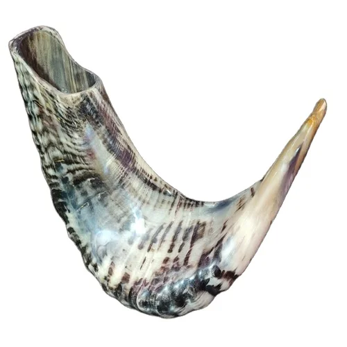 Редкий очень большой легкий натуральный гудок Shofar по подходящей