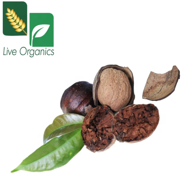 Nutmeg Organic & Natural Grown in India Ethically Sourced Non-GMO Chemical Free Live Organics