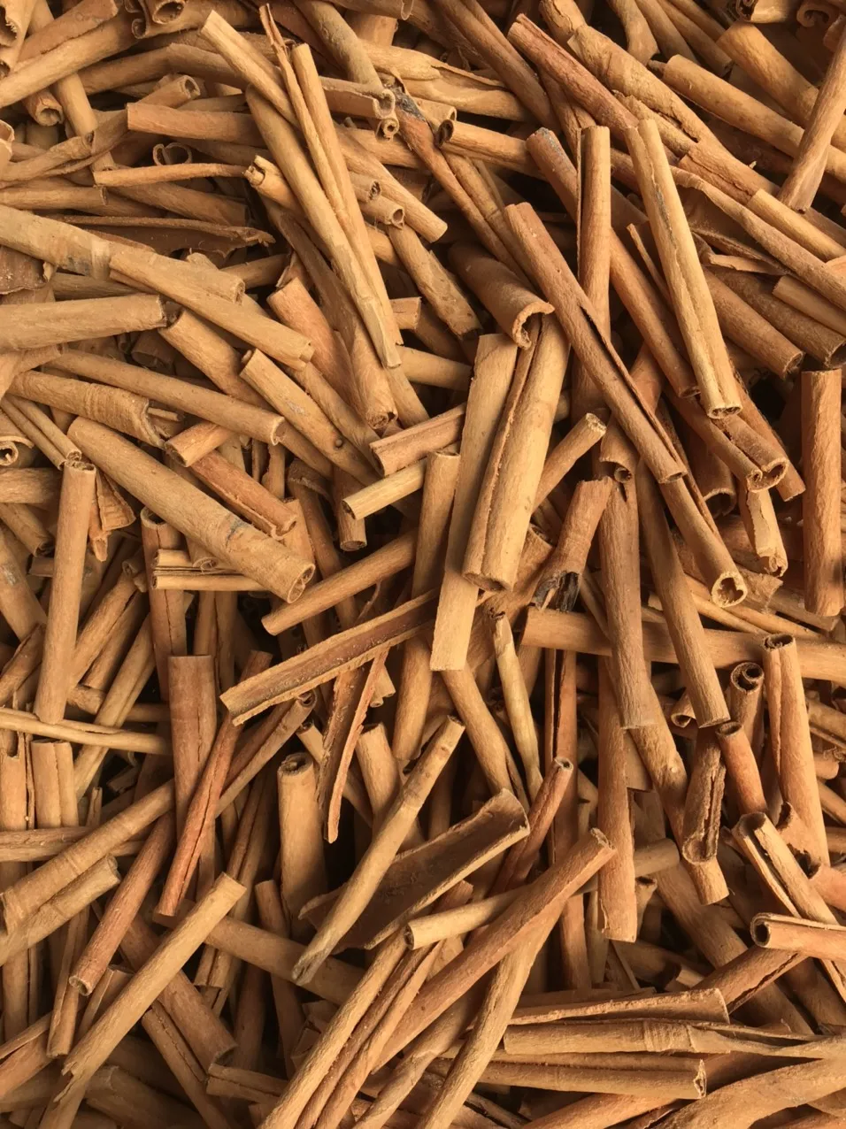 cigarette cassia sticks Hot product spices & herbs100% Natural Dried Cinnamon from Vietnam(+84 393 411 961)