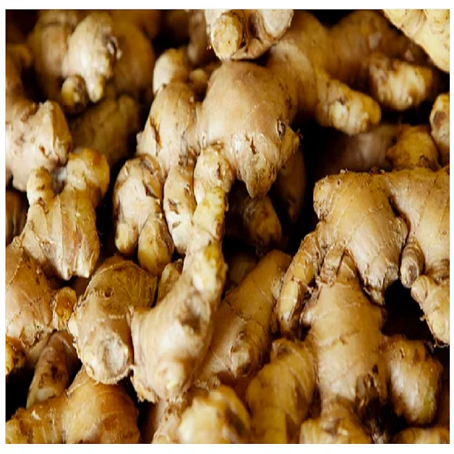 Best Product Spice Fresh Ginger Origin Indonesia Export Standard