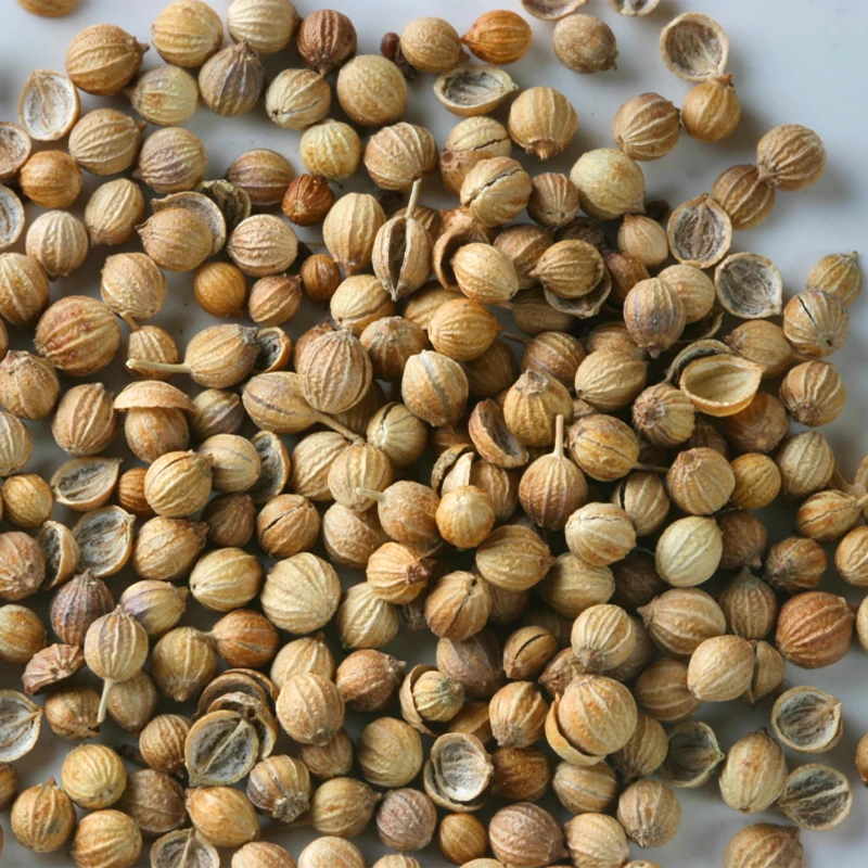Wholesale High Quality Organic Coriander Seeds Flavored Coriander Seeds Ground Guangxi Natural AD Raw Coriander Seeds