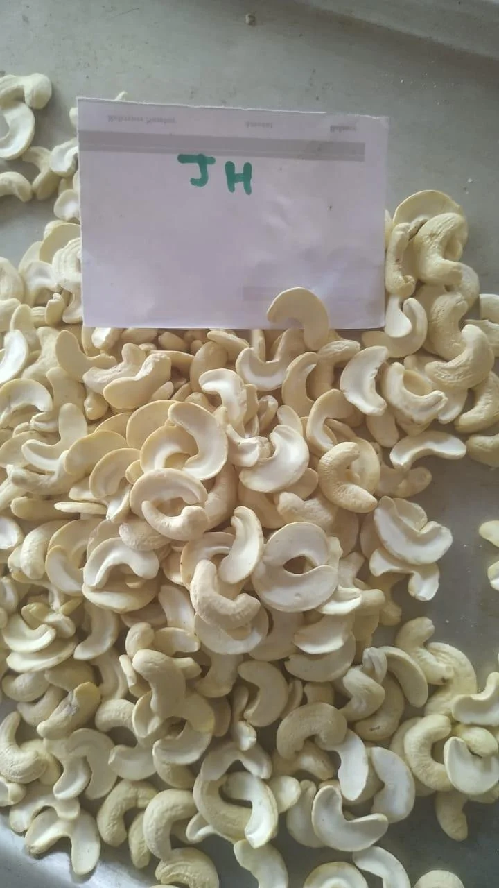 FRESH CASHEW NUTS/ CASHEW NUTS W320 W240 EXPORT CASHEW NUTS  FROM VIETNAM/ Ms Jolie (Whatsapp : +84902679738)