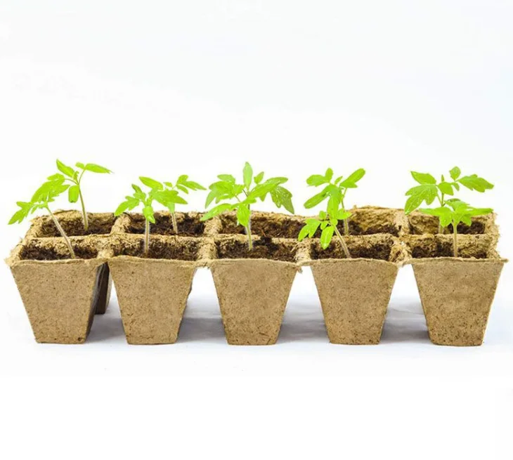 biodegradable Seedling Starter paper pulp flower pots paper cup peat pots for Vegetable & Flower