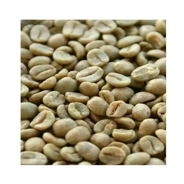 Manufacture Products Speciality Coffee Price of Raw Coffee Beans Vietnam Export Products Whole Bean Coffee Robusta Green Beans