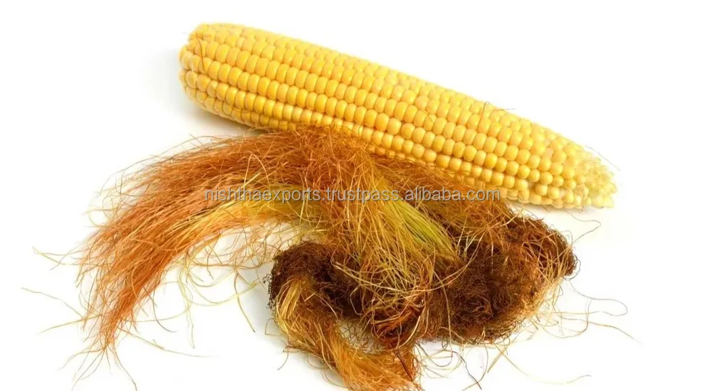Corn Silk Stigma Maydis Zea mays Silk Makai Ke Reshe Makai Silk Dried Raw Herbs Wholesale Plant Extract Herbal Product
