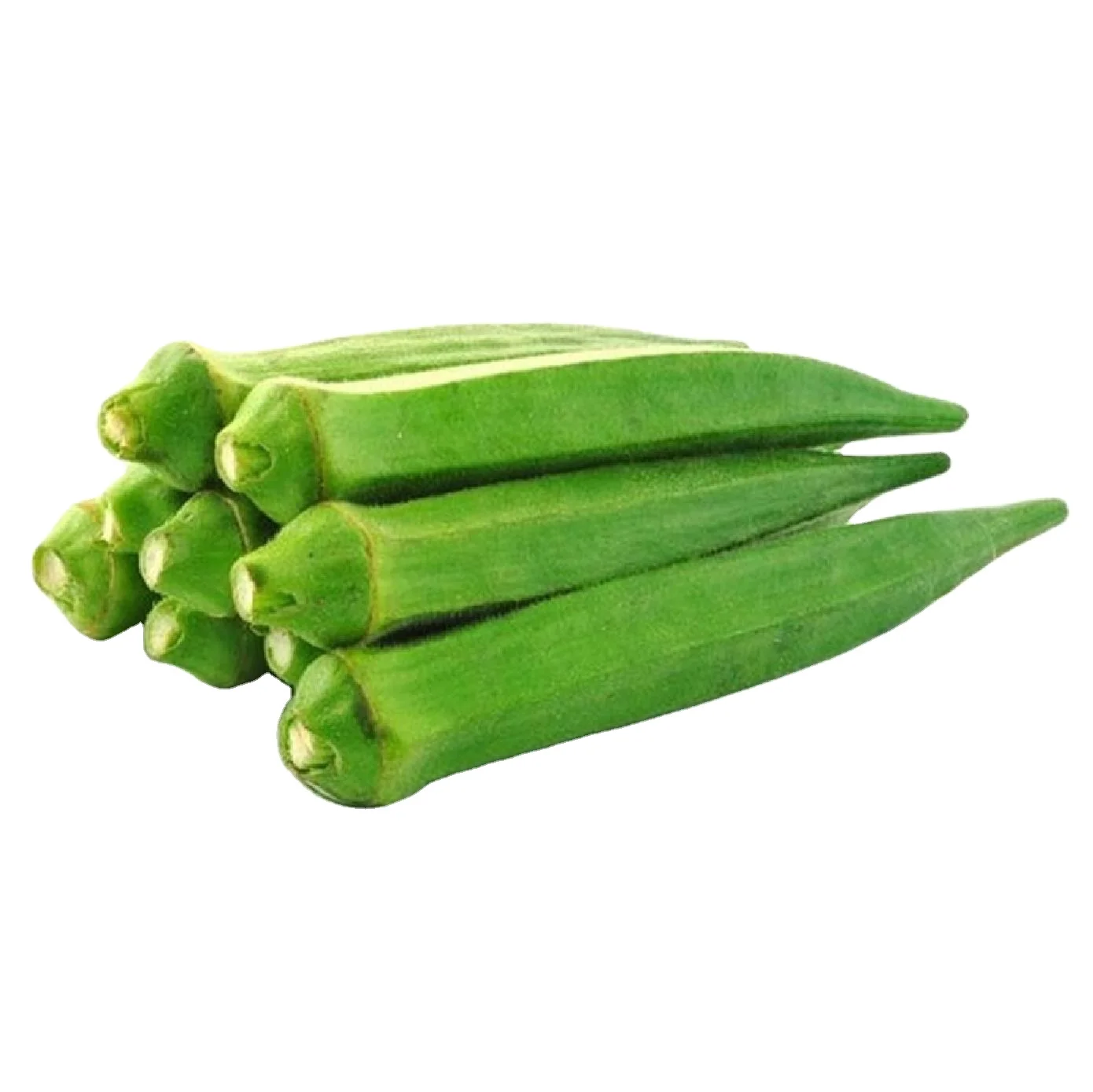 Cheap Hot Selling Quality Fresh Okra Fresh Lady Finger Okra Organic Fresh Okra Best Price