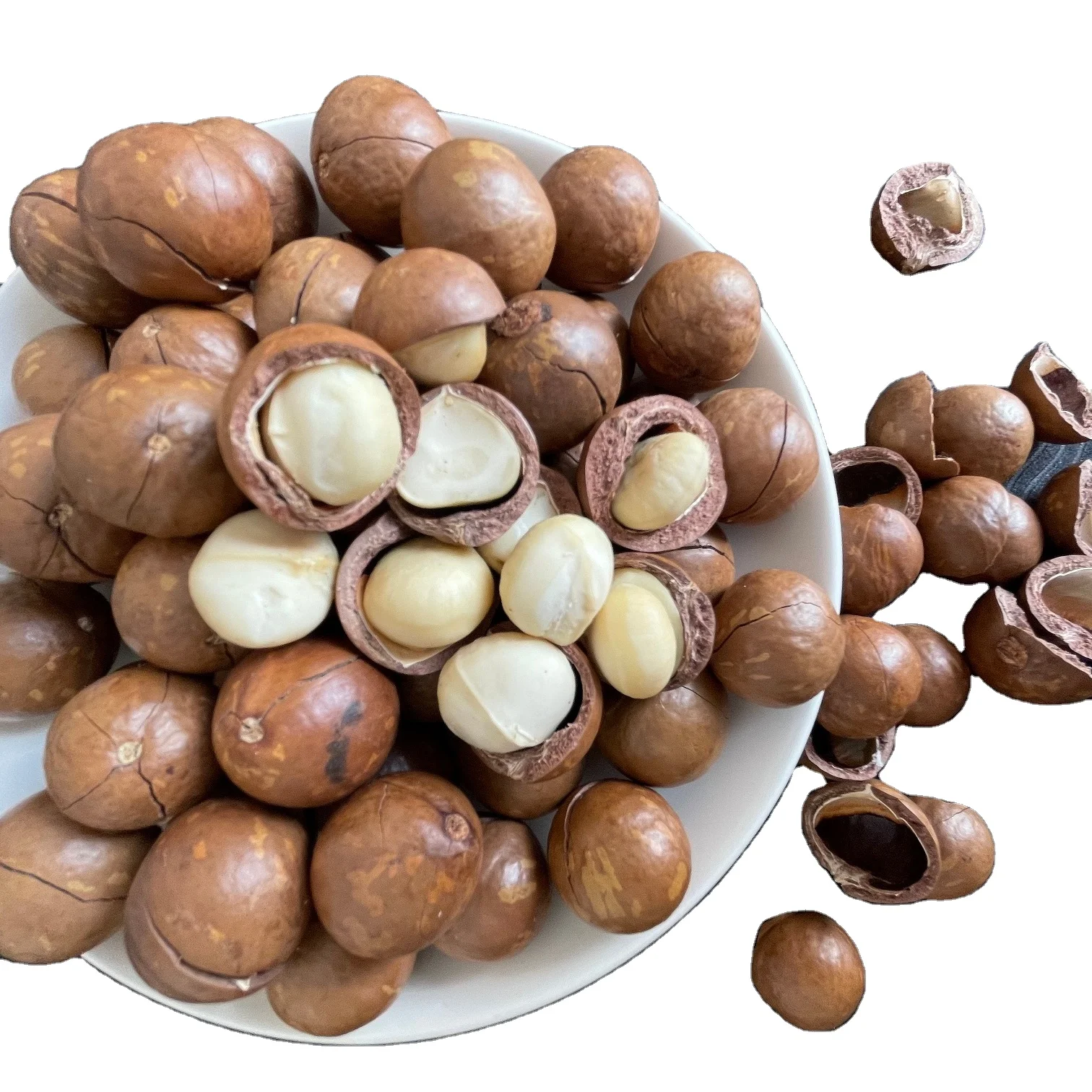 Vietnam Premium Quality Macadamia Nuts Tasty Healthy Best Price Cracked In Shell or Kernels Natural Flavor