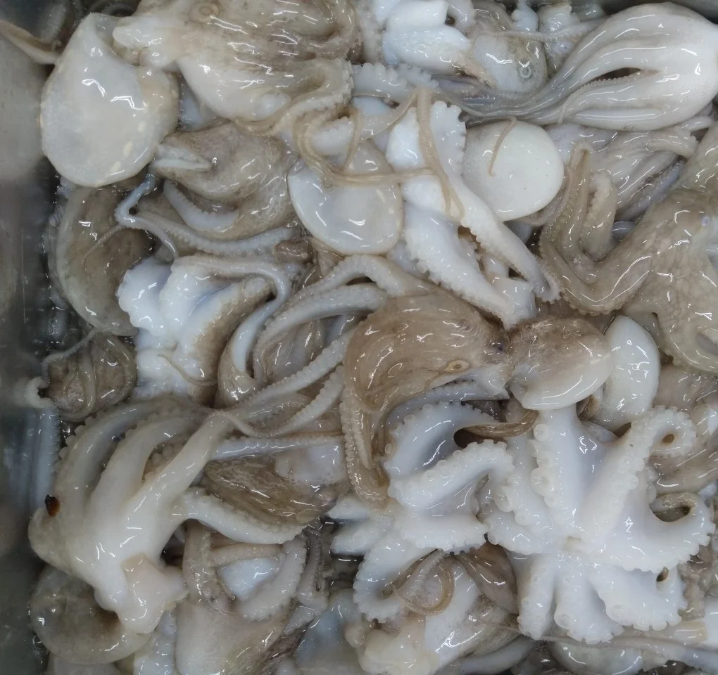 Замороженный полностью очищенный детский Осьминог по низкой цене