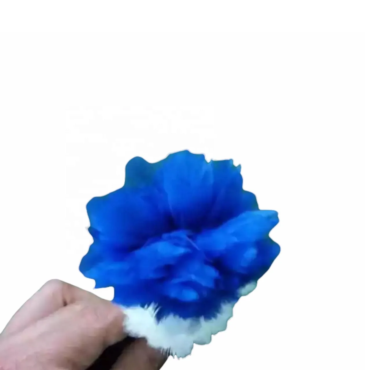 Hackle Glengarry And Balmoral hat Royal Blue and White Plume Feather Plume Pipe Band Uniform Feather Hackle