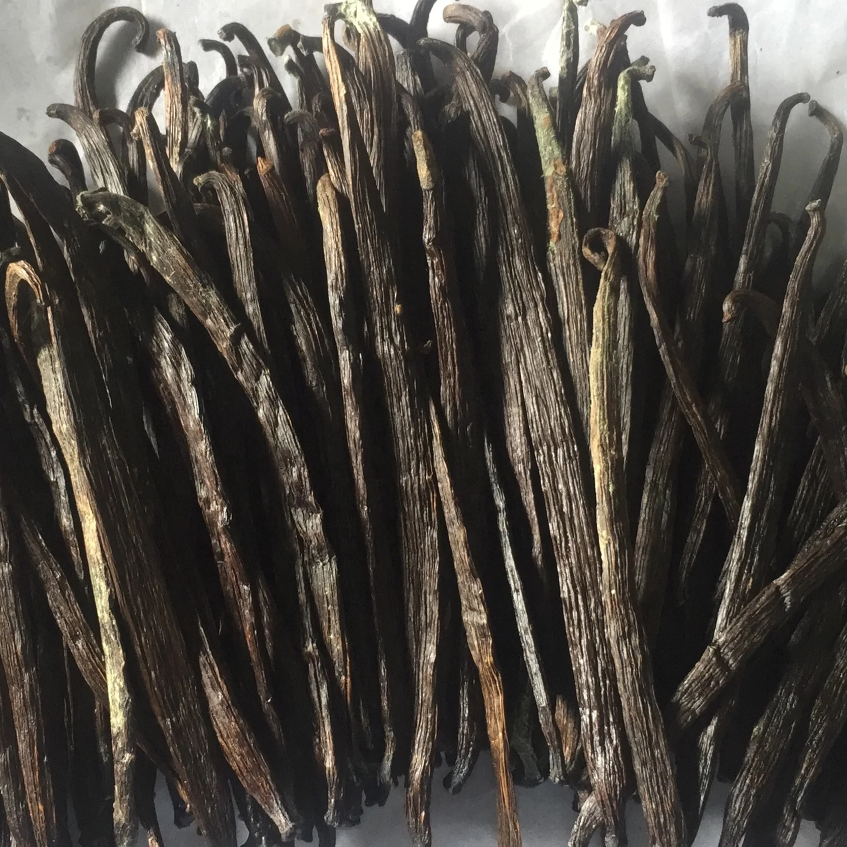 RENDAH TAHITENSIS GRADE-3 18-19.9 CM VANILLA BEANS for EXTRACTION Hot Selling Indonesian Papua Best Quality with Best Price