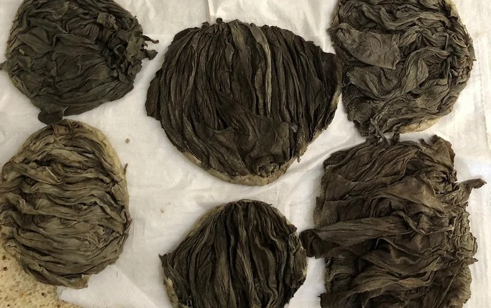 Beef Omasum Salted Dried Buffalo / Cow Omasum Dried And Salted High Quality Omasum