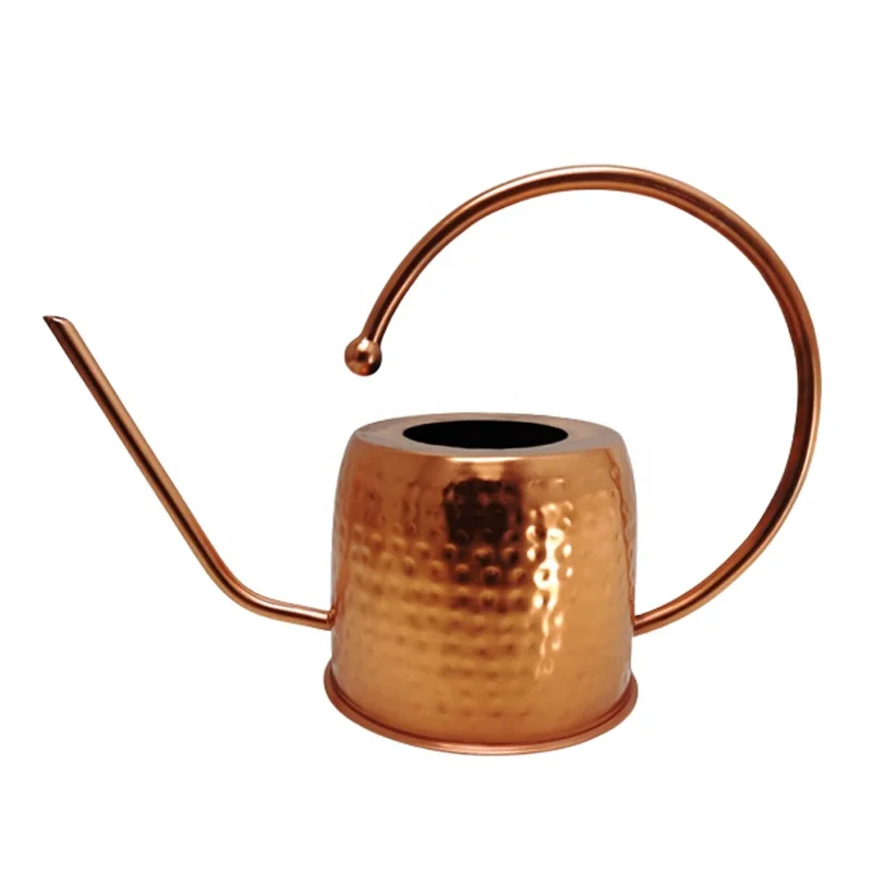 Gardening Customized Iron Long Spout Power Coated Spray Water Can Garden Metal Watering Can