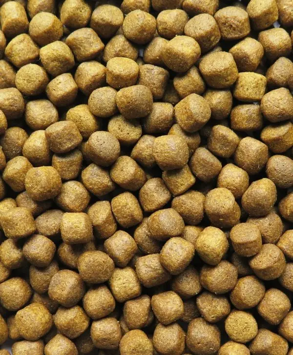 Feed specialized for Seabass fish - HI-AQUA SEABASS FEED - for seabass fish 20kg/bag export from Vietnam good quality