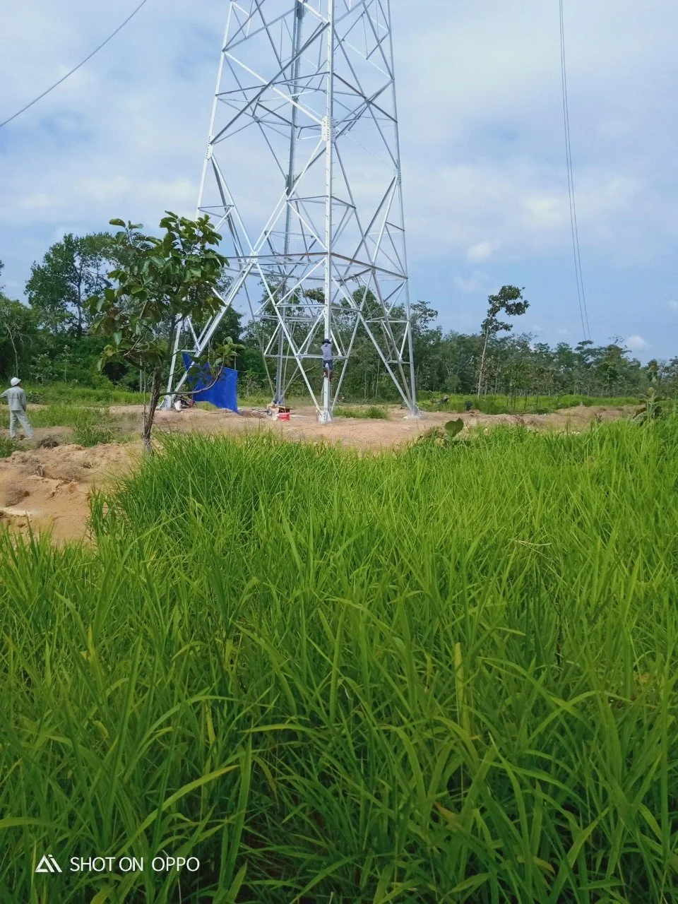 High standard High voltage power Electric pole transmission Steel Made in Viet Nam