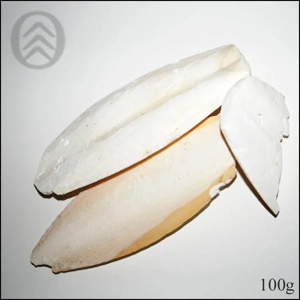 Vietnamese Products Cuttlefish Bone Natural Good Price Ms. Mary